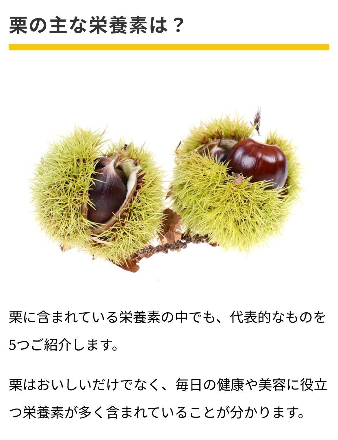 のサムネイル