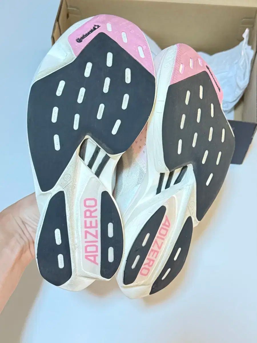 チェリーブロッサムエディション さくら