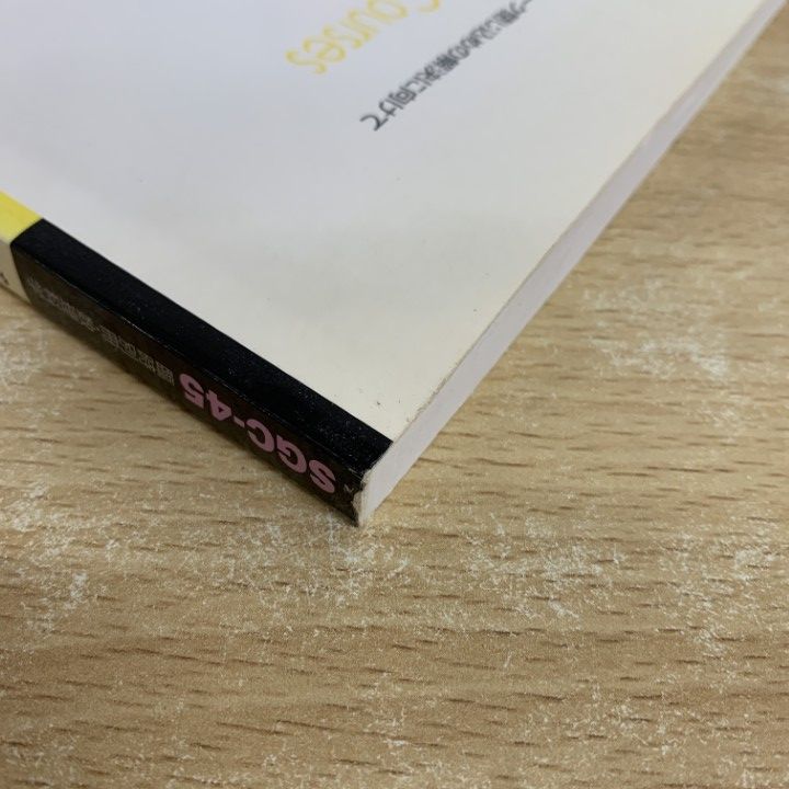 SGCライブラリ 45 ゲージ場の量子論入門（臨時別冊・数理科学） ゲージ場の量子論入門 - 株式会社サイエンス社 株式会社新世社