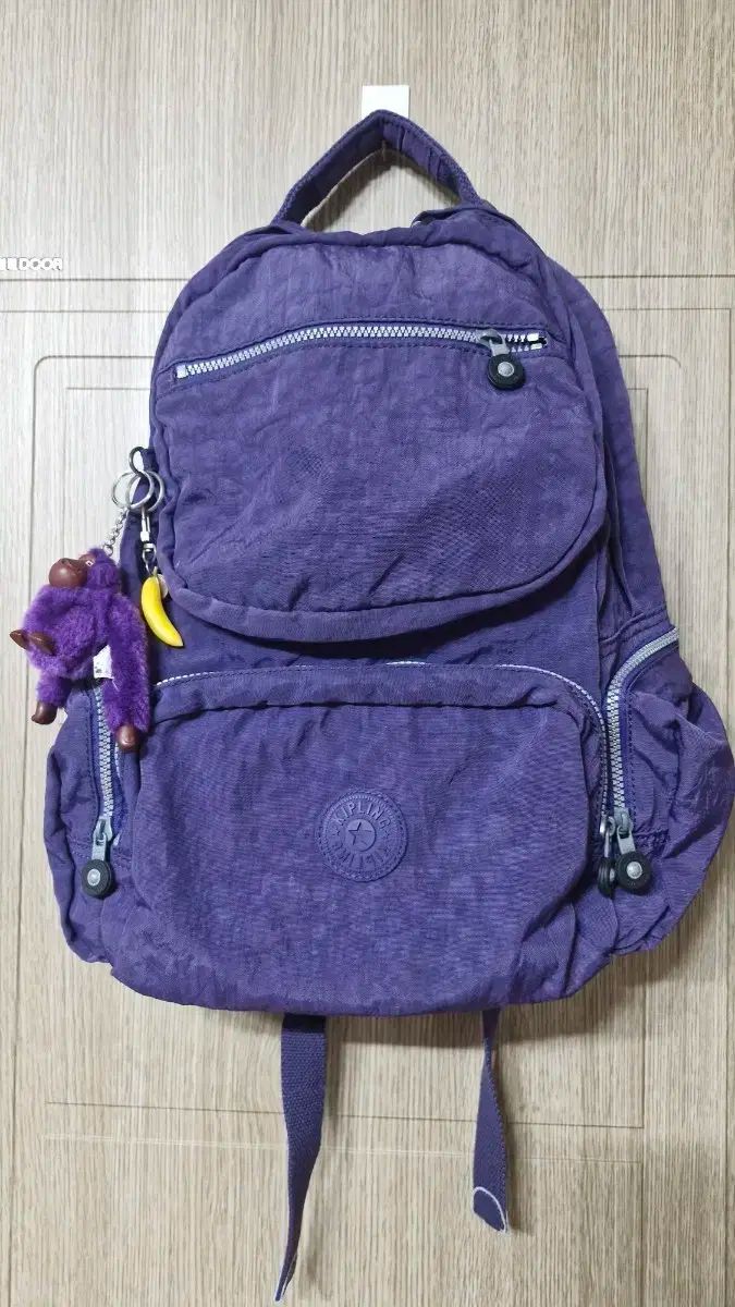 catcatさん専用 ＊ Hoya ＊ ホヤ ＊ inflata