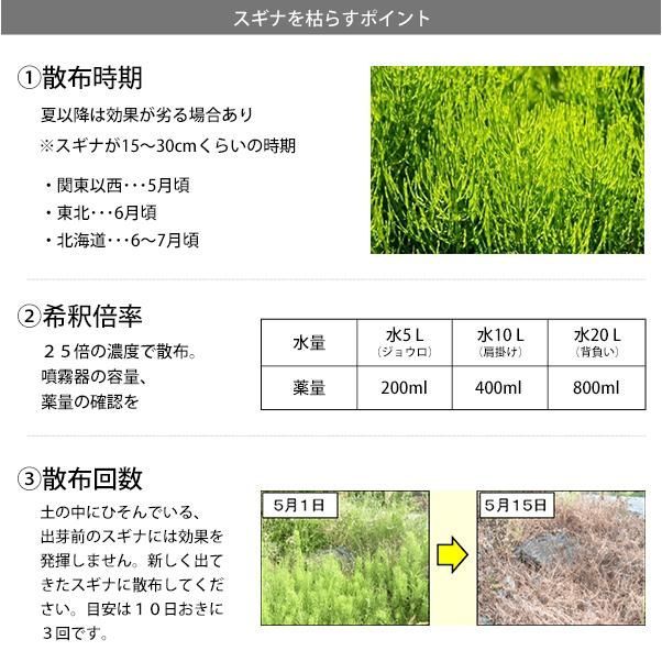 5L×2本＋500mlセット