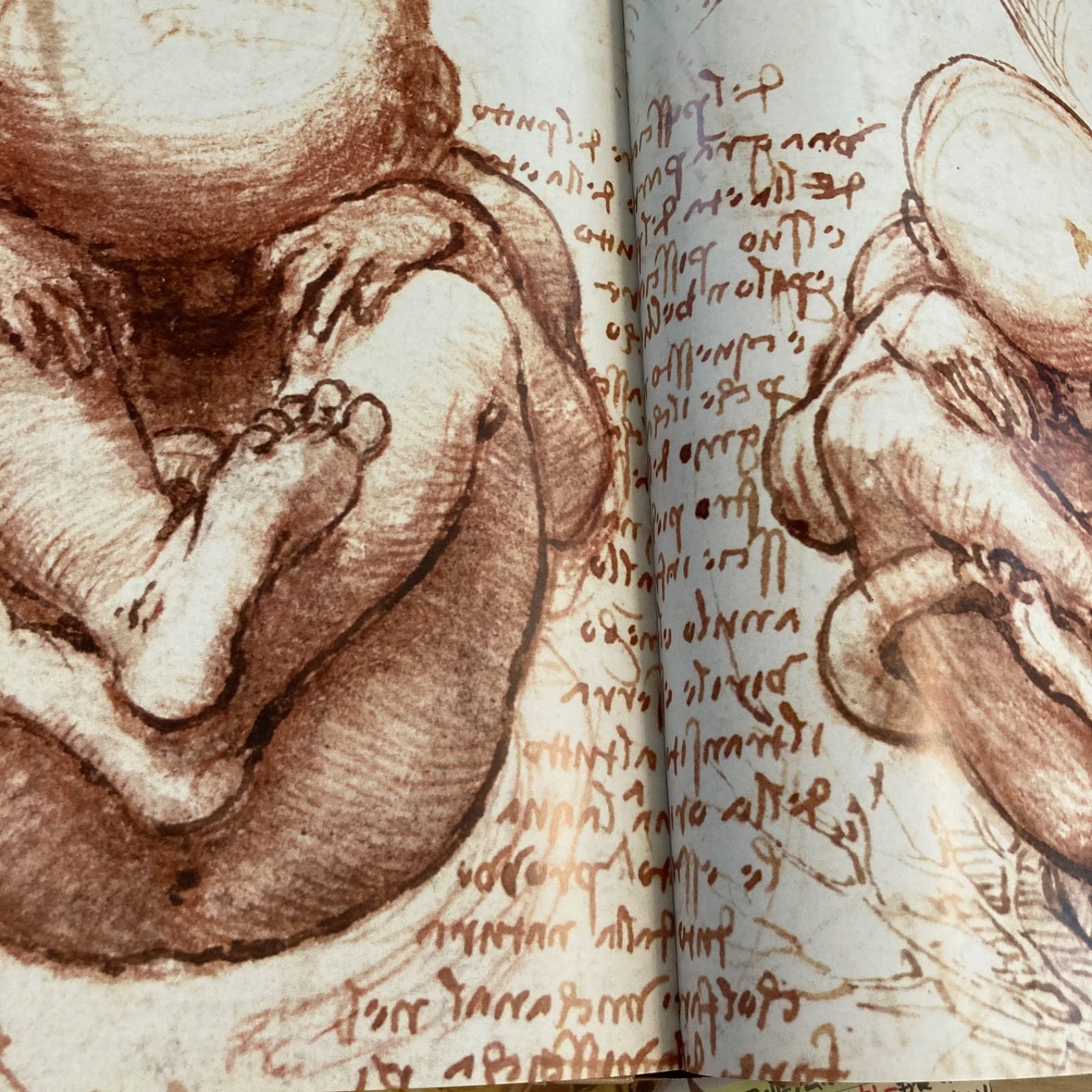 レオナルド・ダ・ヴィンチ フランク・ツォルナー レオナルド ダ