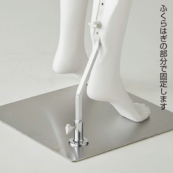 美品 掛け軸 佐野せいじ筆「荘川桜」木版 直筆サイン入り 美品 掛け軸