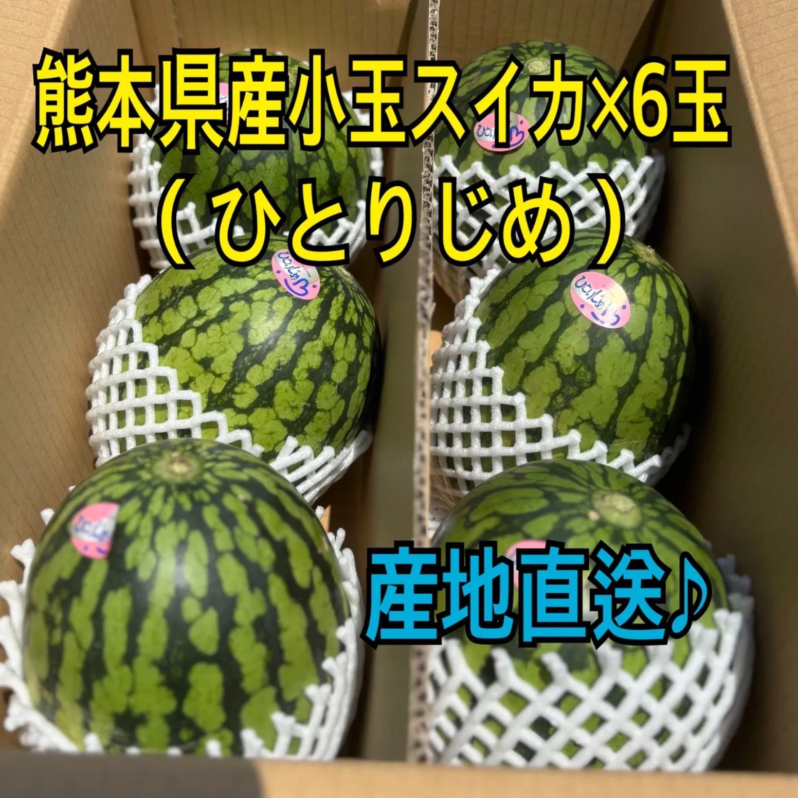 熊本スイカ6個 熊本スイカ6個 【公式通販】