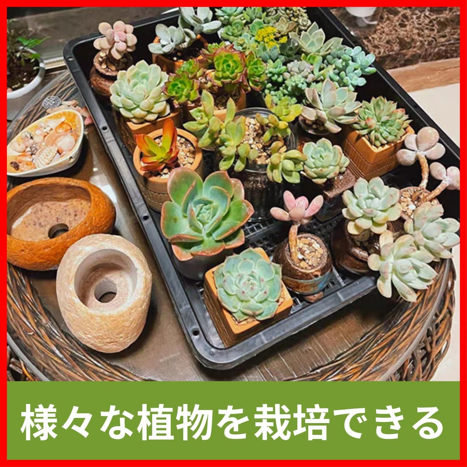 新着商品】38x30cm 育苗コンテナ 5枚 育苗トレイ育苗箱 育苗トレー 苗床 トレイ稚苗用苗箱 育苗ポット 盆栽トレーニングポット BeGrit  5枚37x30cm多肉植物輸送ポット家庭園芸管理用(合計10枚ブラック) - メルカリ