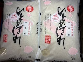 宮城登米産環境保全米ひとめぼれ 白米 ５㎏×２袋 令和７年産