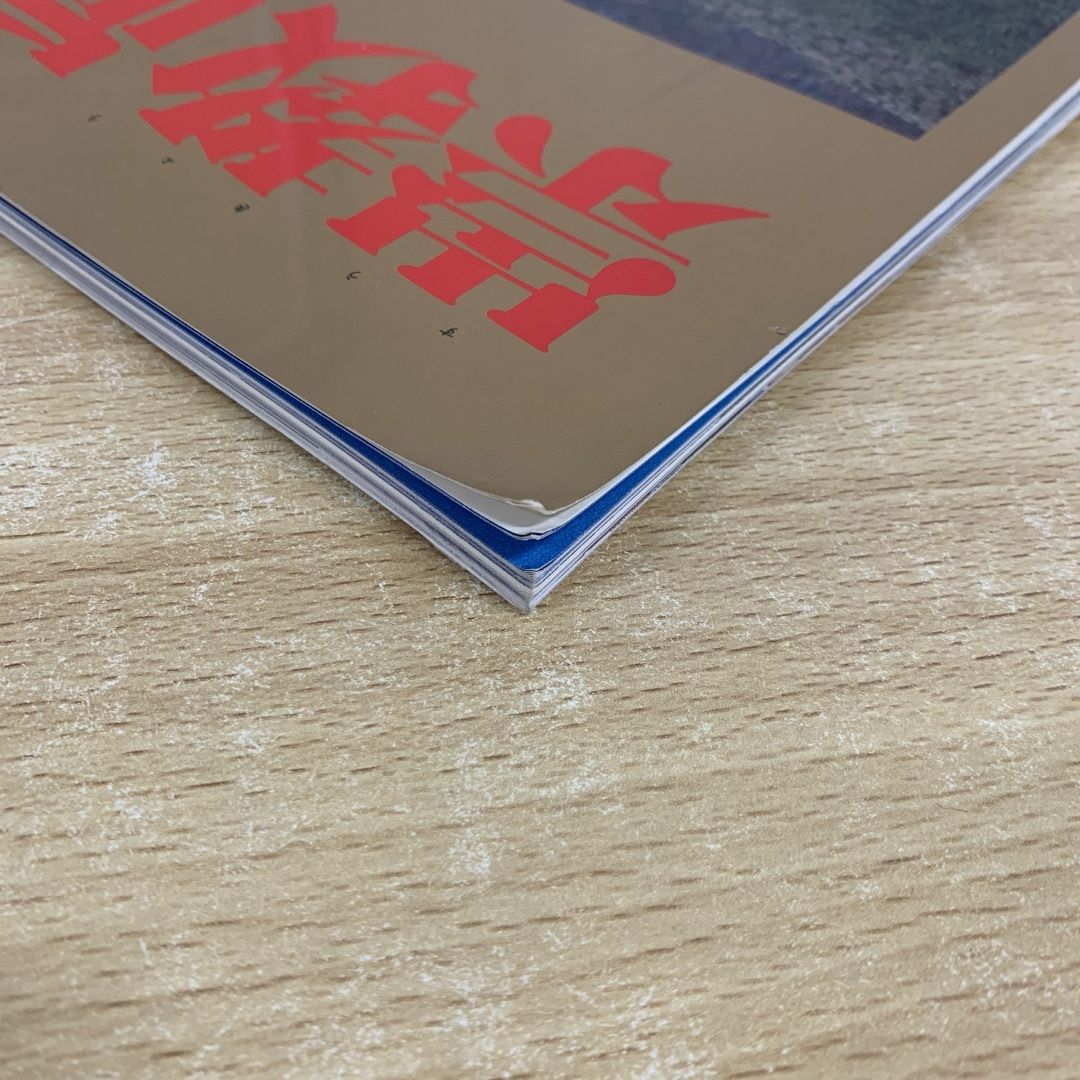崇教真光　毎日グラフ別冊　1994年6月発行