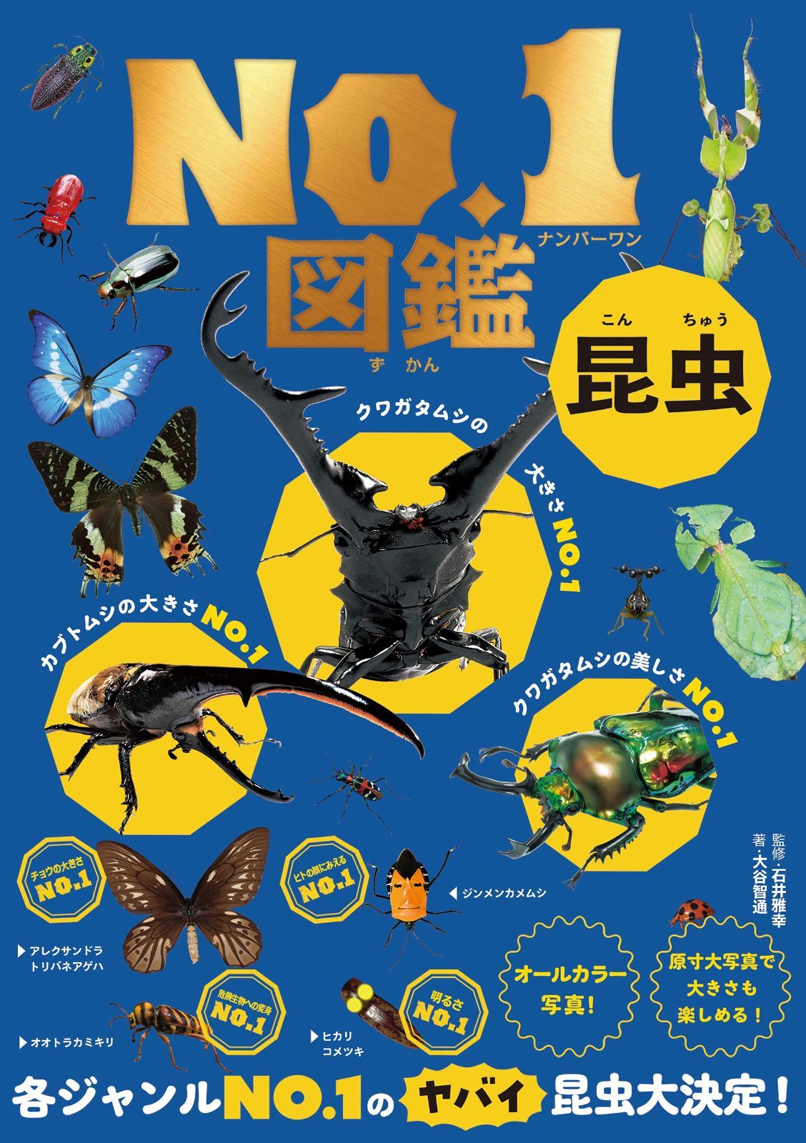 昆虫No.1図鑑