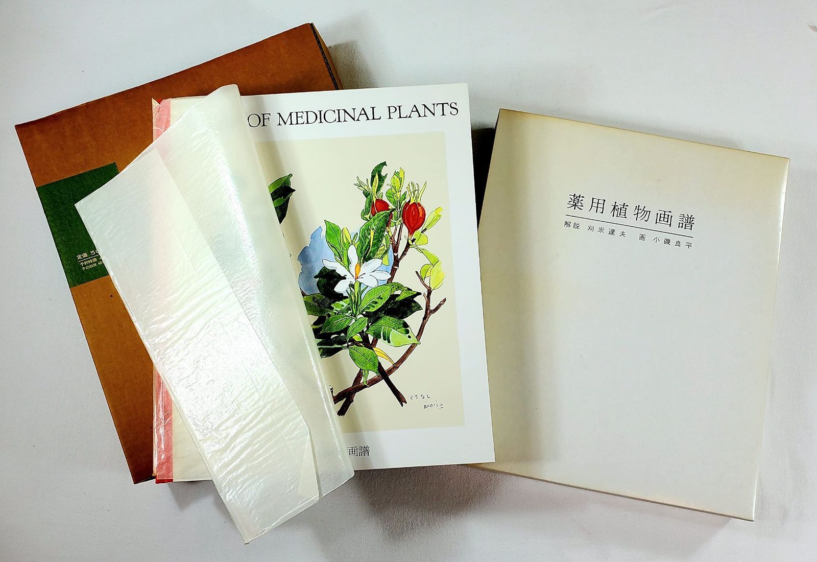 薬用植物画譜