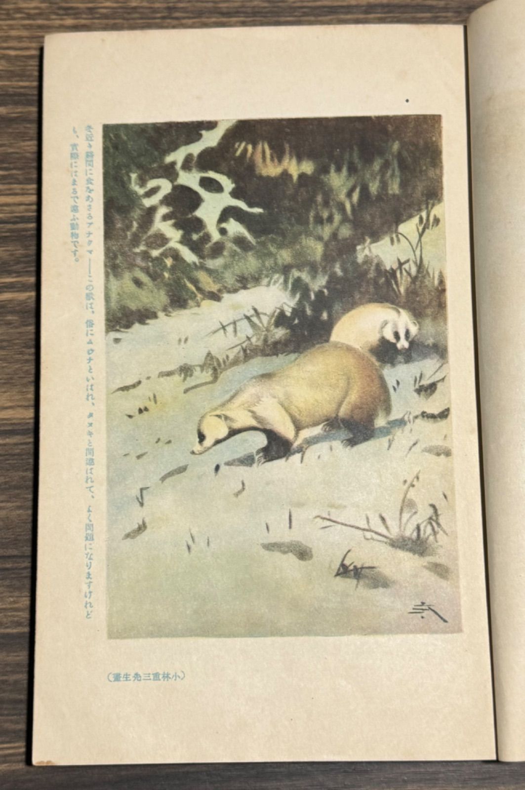 初版】戦前古書 小學生全集 第33巻 魚の世界・獣の世界 岸田久吉