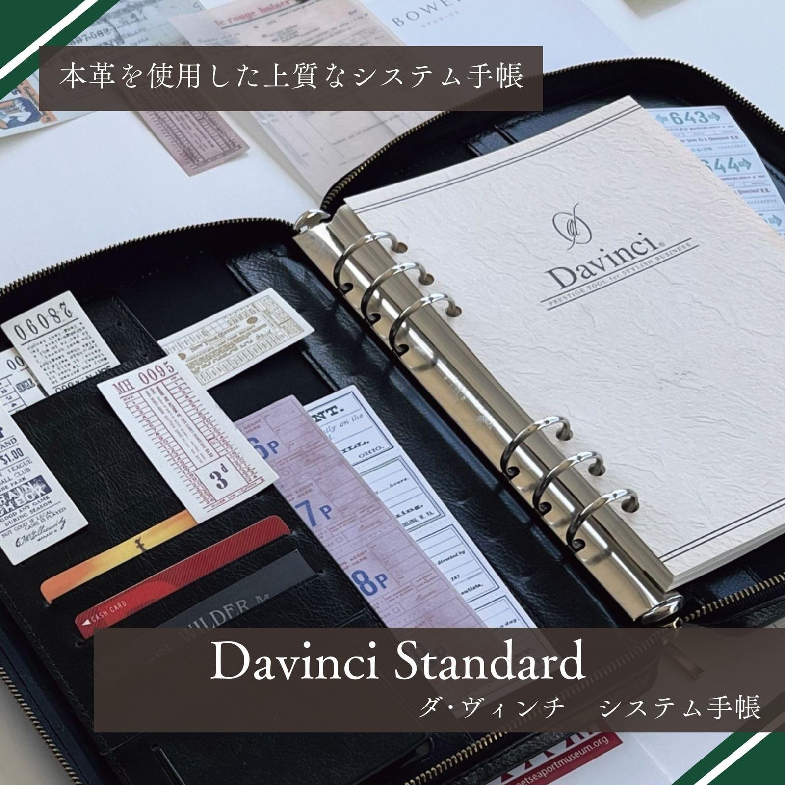 レイメイ藤井 システム手帳 ダヴィンチ A5 ブラウン DSA3001C