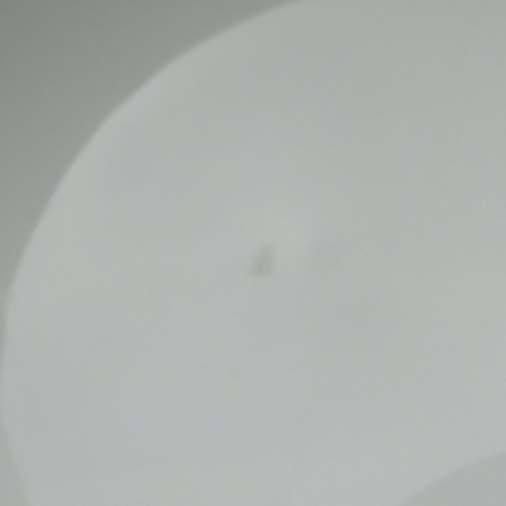 COPENHAGEN ロイヤルコペンハーゲン