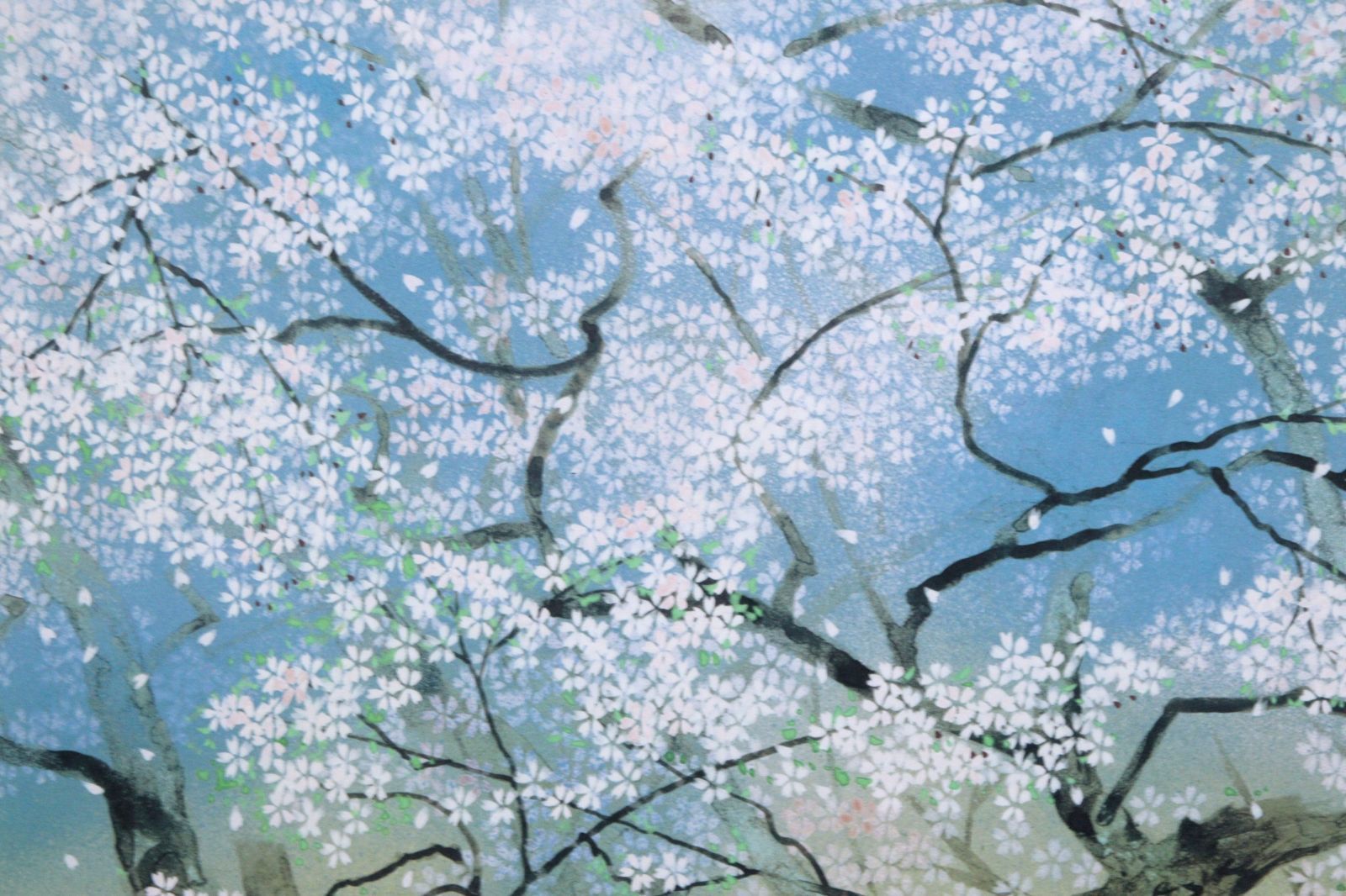 中島千波 淡墨桜 シルクスクリーン 日本画 桜 共シール デジタル