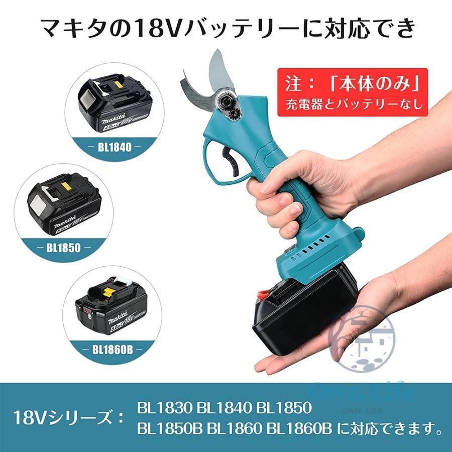 おすすめ 本体のみ