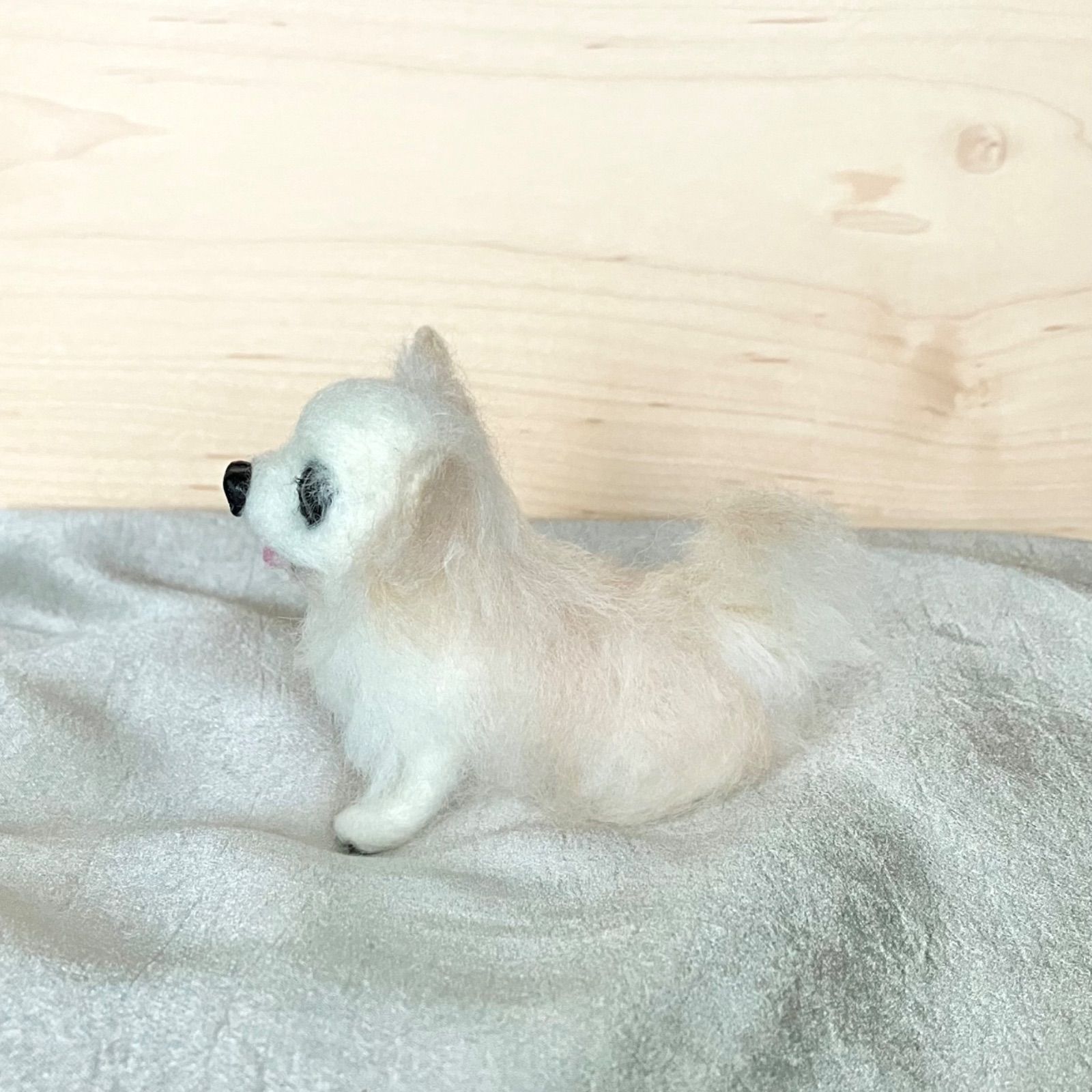 羊毛フェルト 犬 チワワ フォーン ひらりん。様専用 - メルカリ