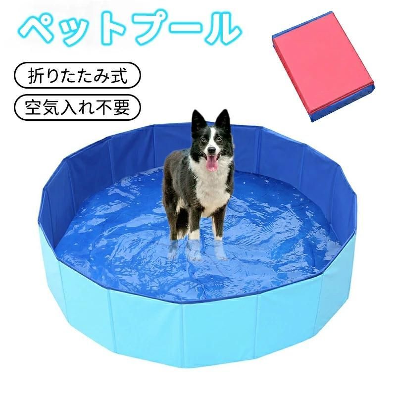 真作】飯島柳三郎/鮎図/アユ図/香魚図/横物/掛軸/名家伝来/AD-757