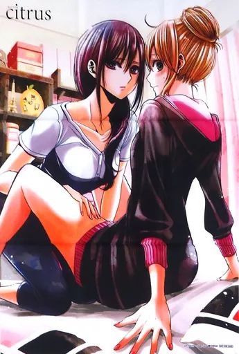 citrus B2布ポスター 藍原柚子 藍原芽衣 アニメイト全巻購入特典 Blu