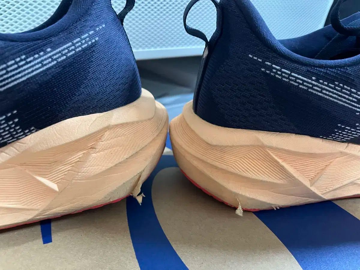 Asics アシックス ノバブラスト 5 285 2E