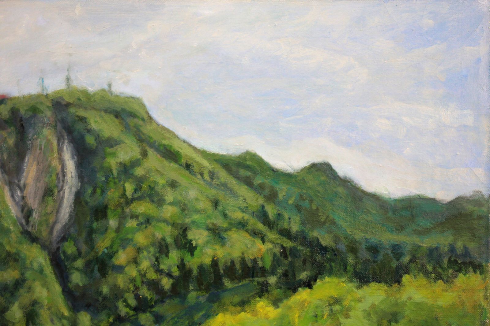 金澤 巌『タンポポの咲く頃（手稲山）』油彩画【真作保証】 絵画 金澤 巌 『タンポポの咲く頃（手稲山）』 油彩画 - 北海道画廊