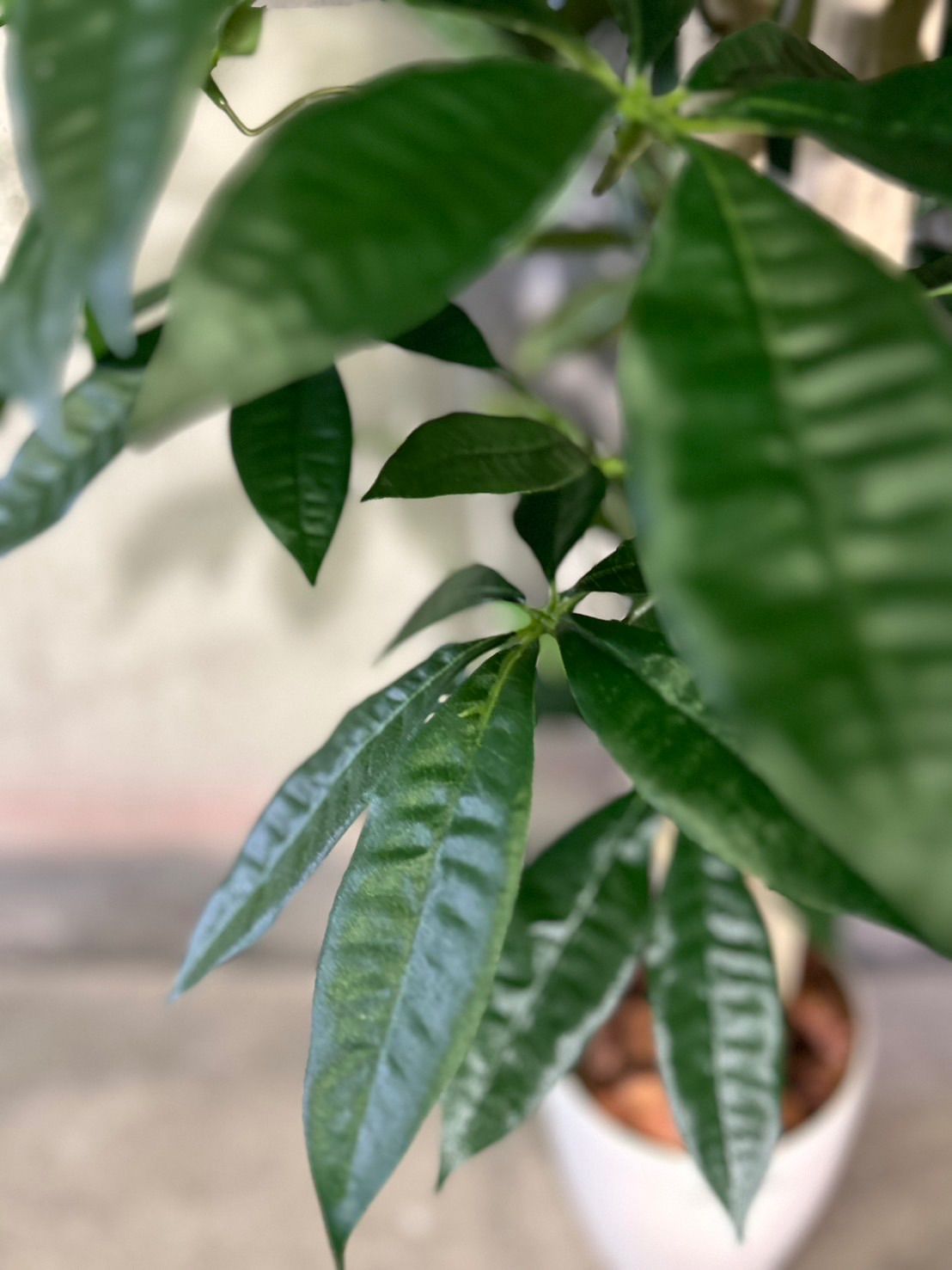 人工観葉・フェイクグリーン 光触媒 人工観葉植物 ウォールグリーン