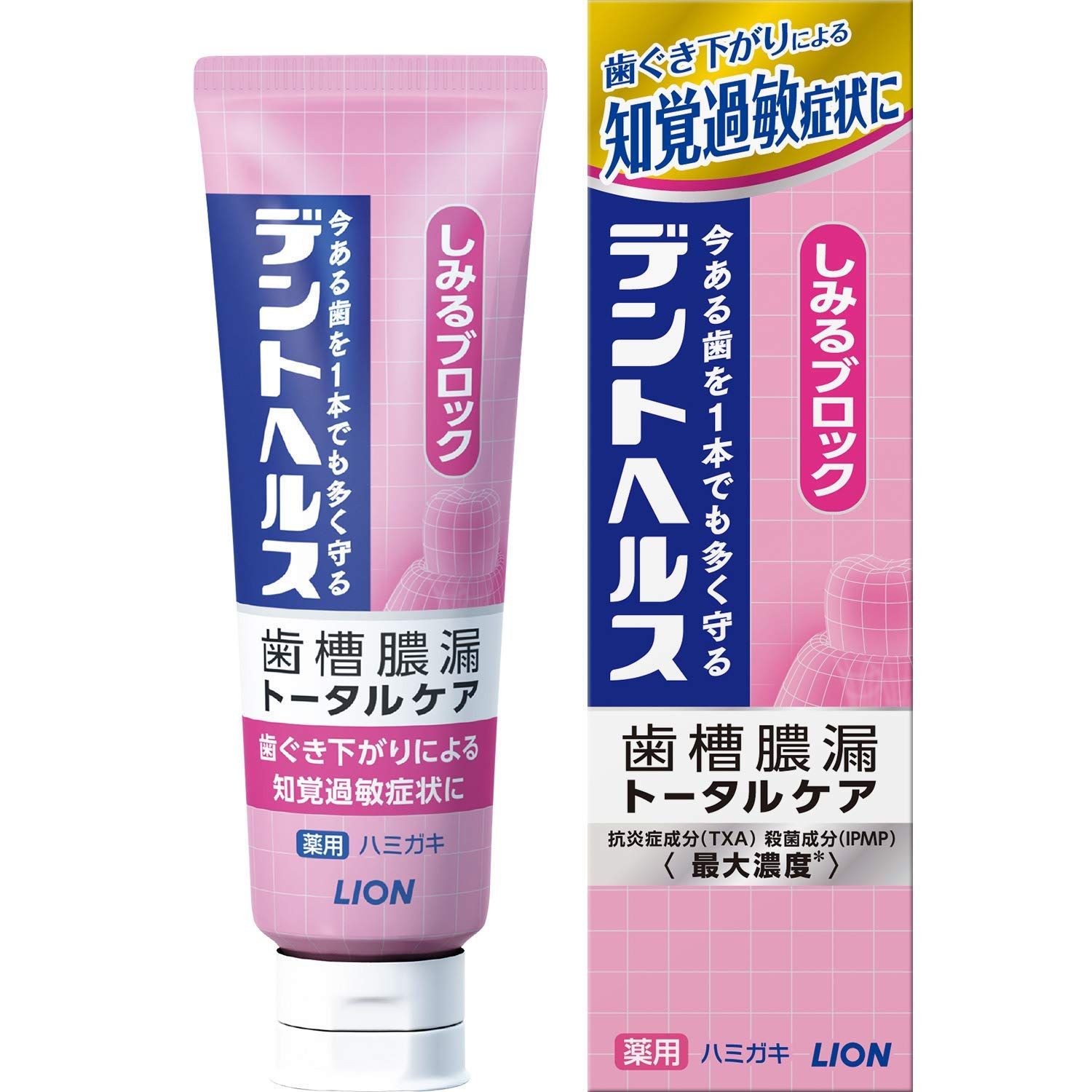 《セット販売》　ライオン デントヘルス 薬用ハミガキ しみるブロック (85g)×5個セット 歯槽膿漏 トータルケア 歯みがき　【医薬部外品】 