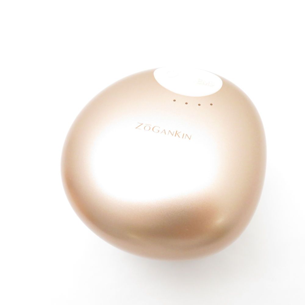 ZOGANKIN CL-ZKS 美顔器 未使用 ZOGANKIN ゾーガンキン CL-ZKS 美容機器 スカルプ 家庭用