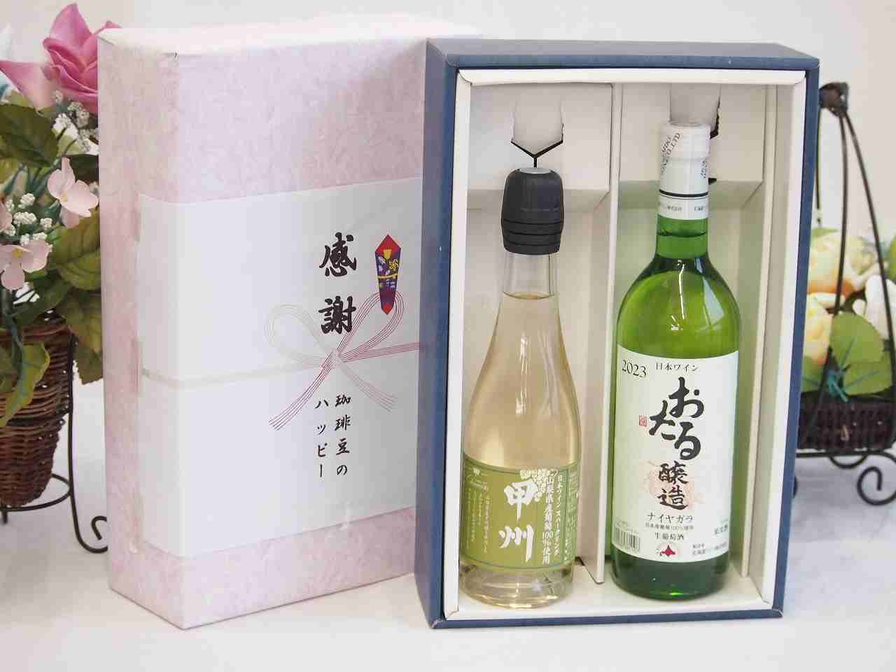 夏の贈り物お中元 感謝の贈り物ボックス 温泉水2本と国産ワインセット(MdV オアシス3 白スパークリングワイン辛口(長野県)750ml温泉水99 500ml×2本