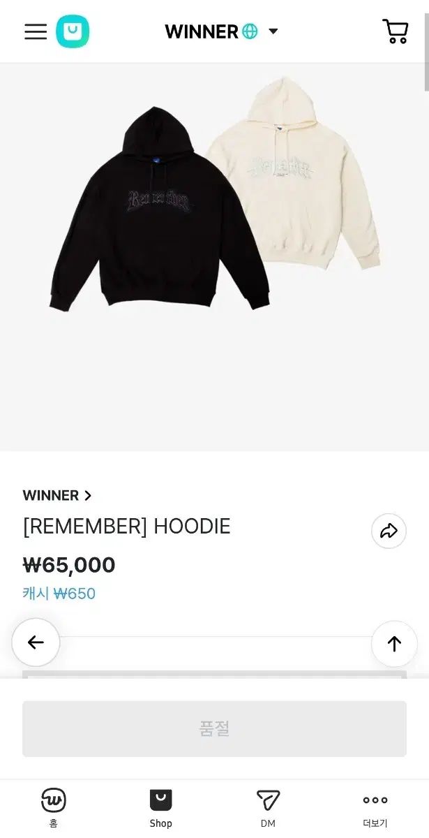 【激安大特価，品質保証】 WINNER(ウィナー) パーカー 公式グッズ その他