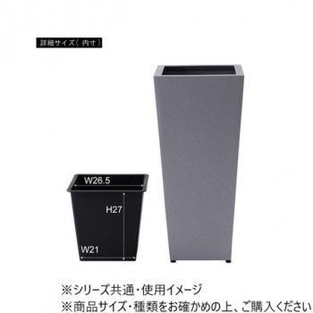 東谷