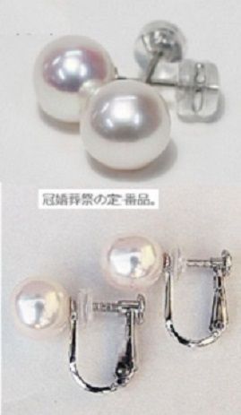 市場価格が昨年の2～3倍前後に！！特売セール！照り巻最高！あこや花 