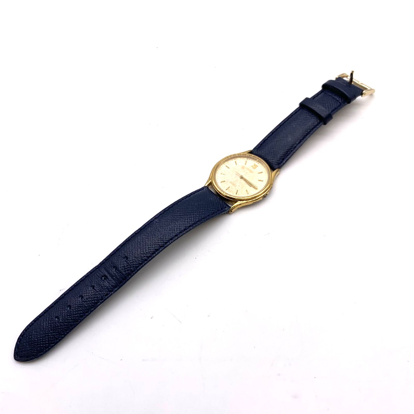 え*ぼ様 アグラオネマ ピクタム 雪華 1株 Yahoo!オークション - TB便