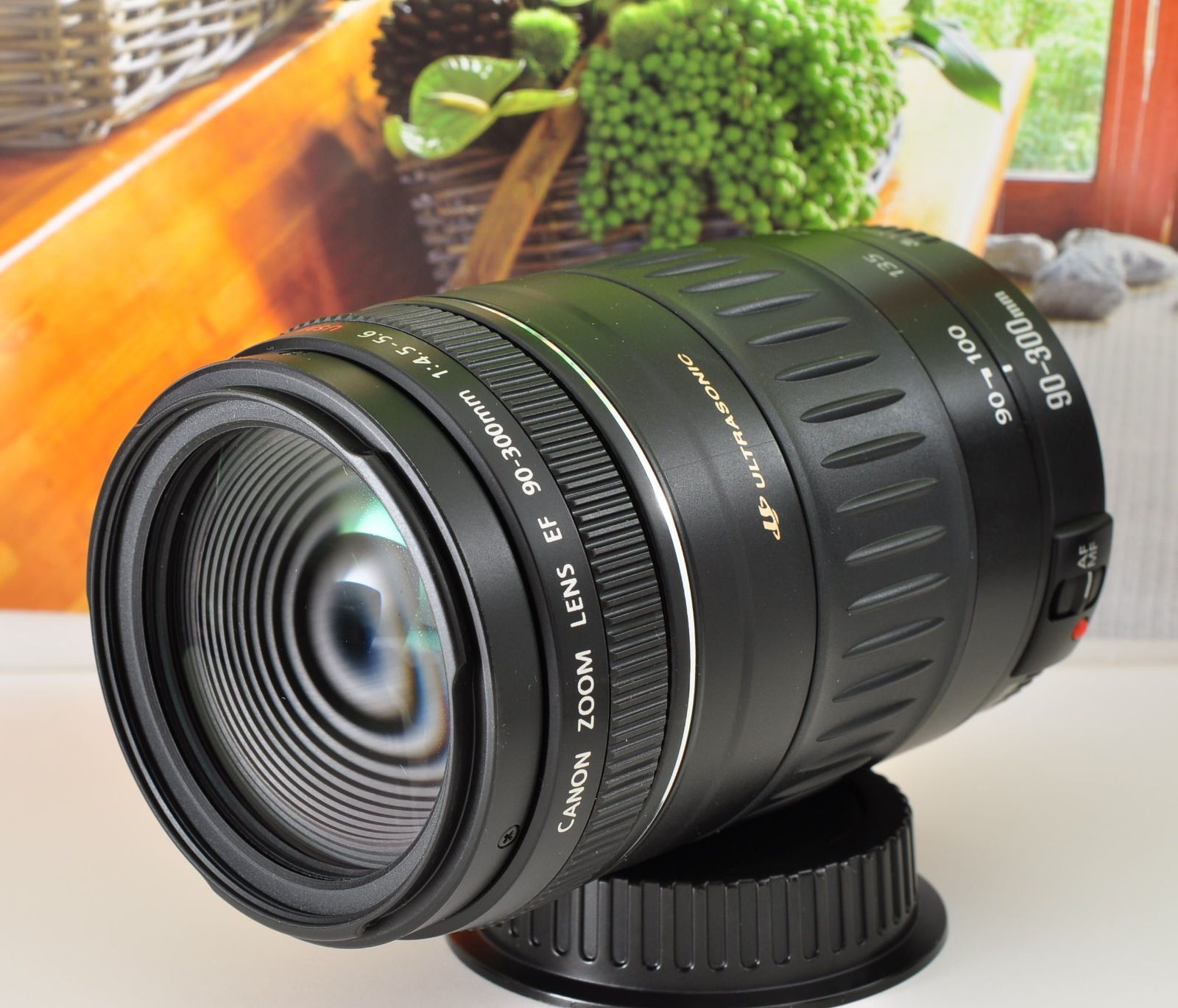 Canon EF 90-300mm F4.5-5.6 USM 望遠ズームレンズ EOS一眼レフ対応