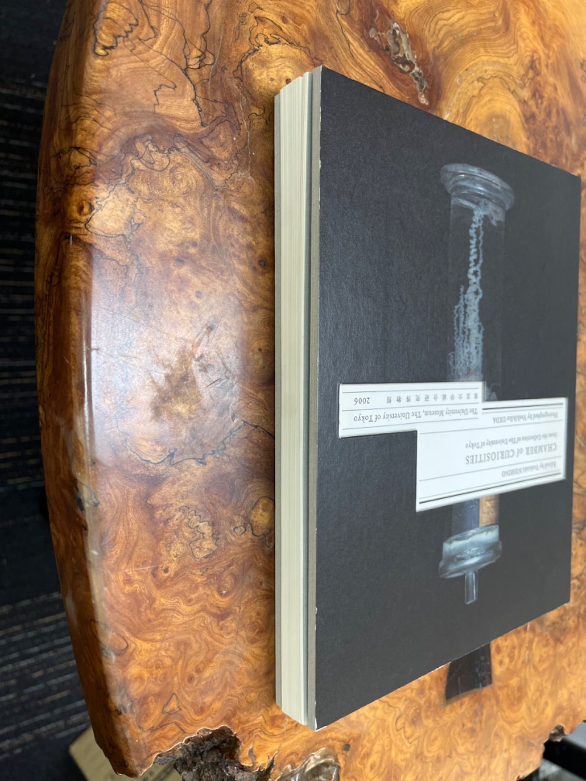 CHAMBER of CURIOSITIES - from the Collection of The University of