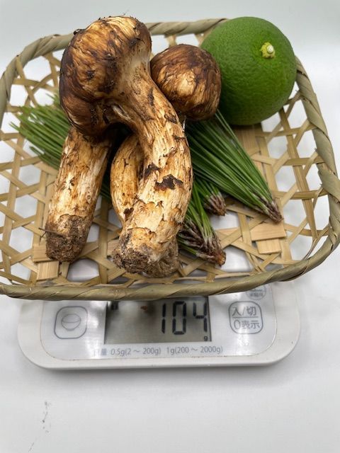 信州産 松茸 104g 3本 送料込みクール便 - メルカリ