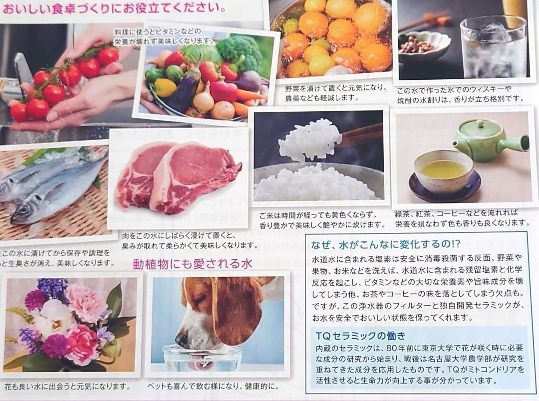  TQ 生体エネルギー 浄水器 ポット型 ピッチャータイプ1 L 水質改善 健康水 ランチョンマット ポット型浄水器 浄水器 整水器