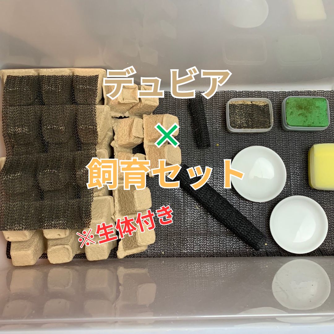 コオロギ 飼育セットデュビア 飼育ケージ レッドローチ 両生類