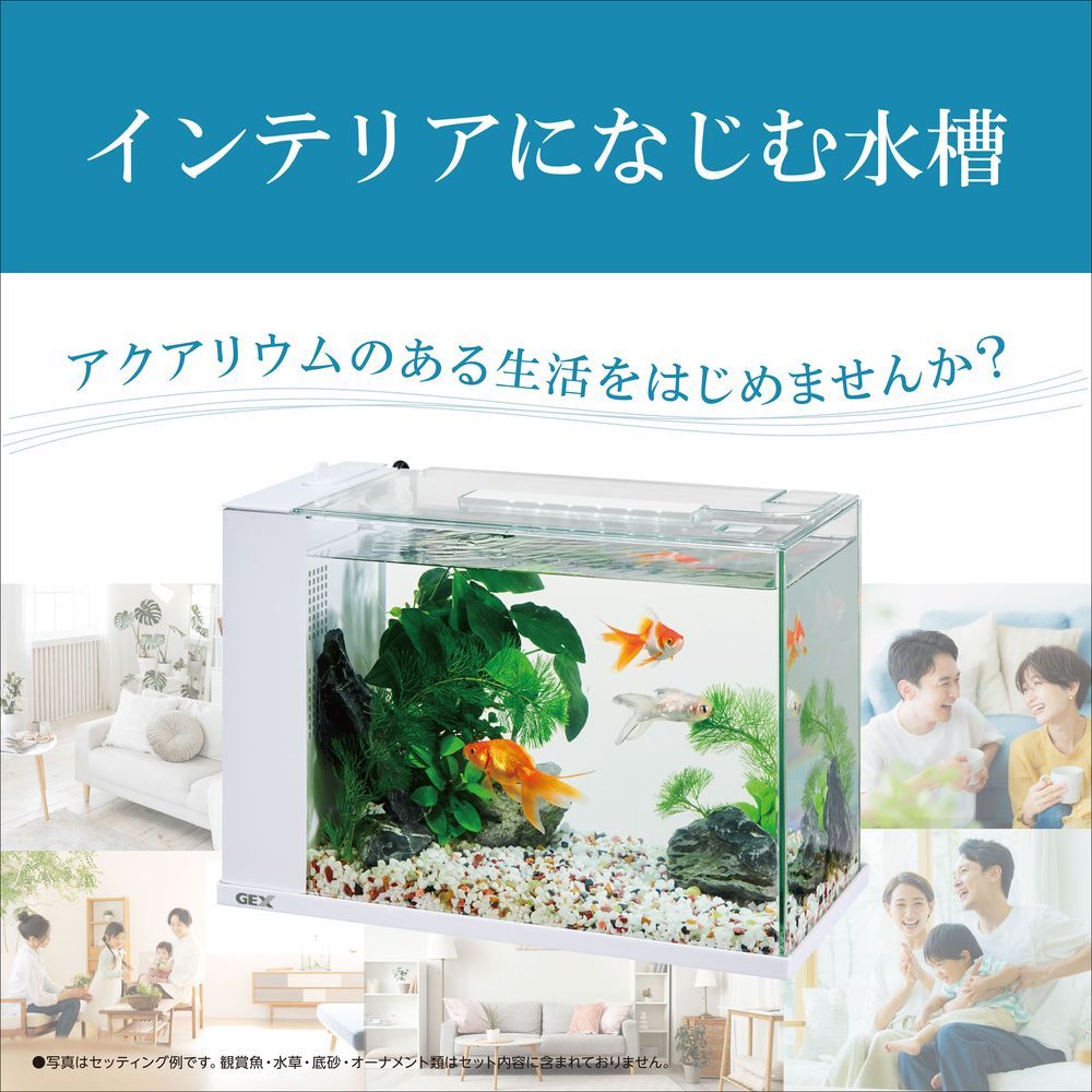 新商品