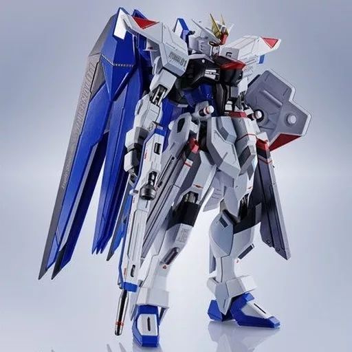 中古】フィギュア METAL ROBOT魂 ＜SIDE MS＞ フリーダムガンダム 