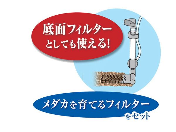 GEX メダカ元気 メダカのための水槽セット300 熱帯魚 観賞魚用品 水槽 セット水槽 ジェックス