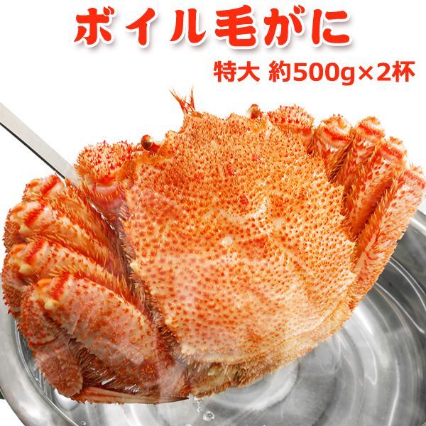 毛ガニ1kg（500g×2）送料無料