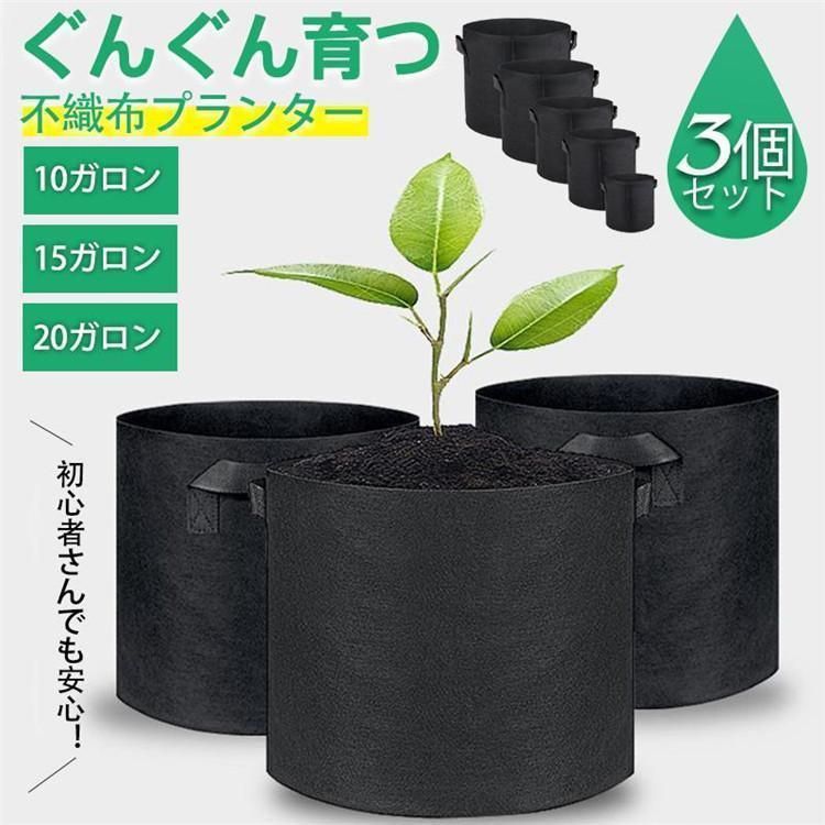 森光子 直筆サイン