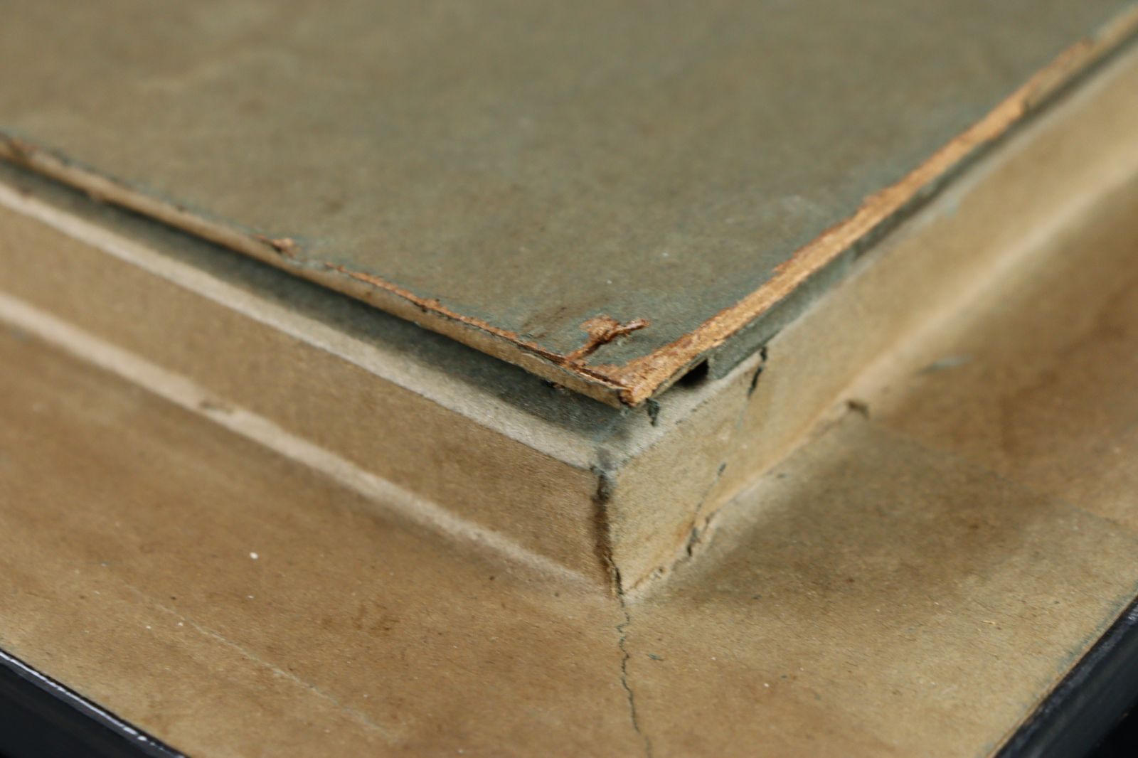 ◇真作保証◇ 櫻井陽司　『猫』　孤高の洋画家　SM 油彩画 ◇真作保証◇ 櫻井陽司 『猫』 孤高の洋画家 SM 油彩画 Yahoo!