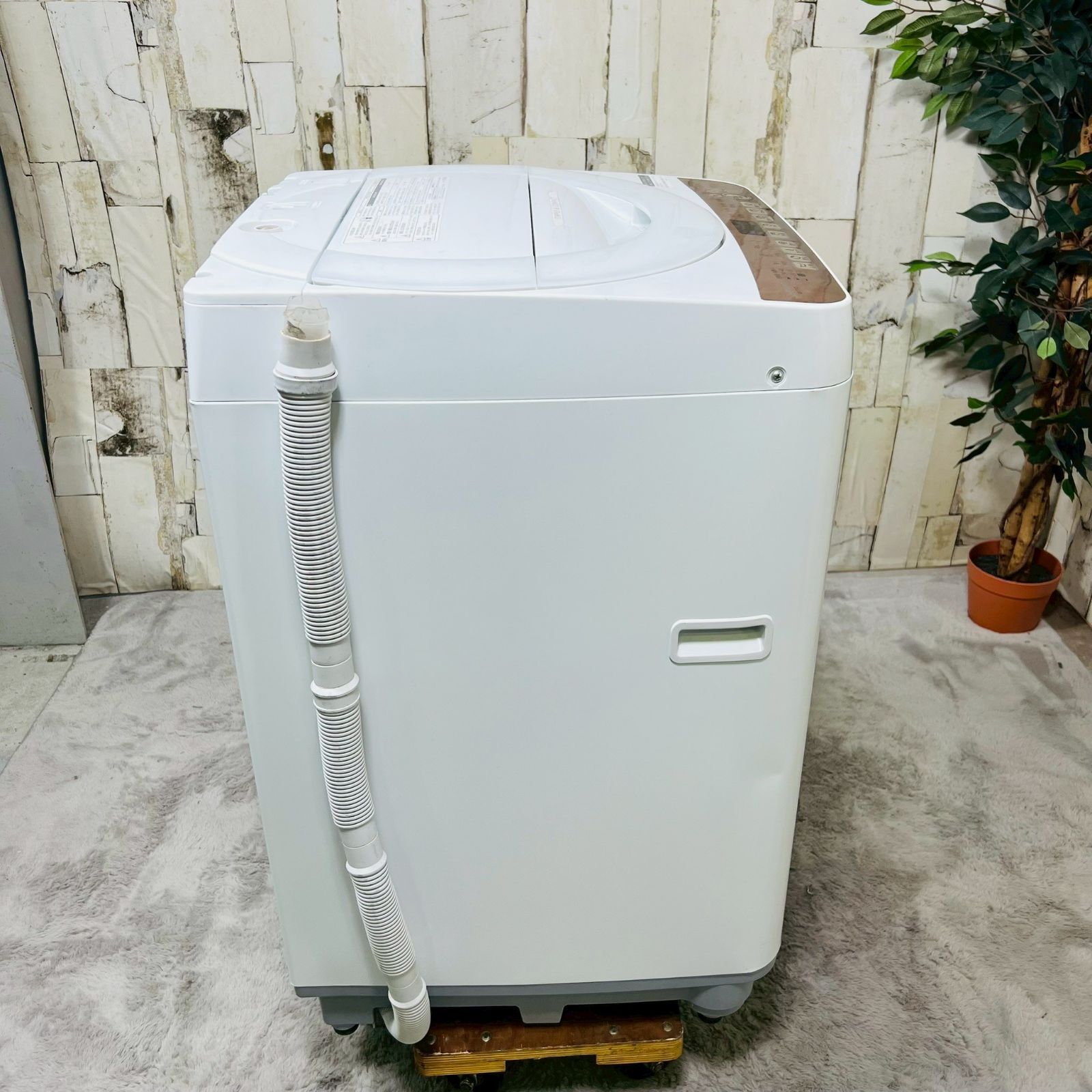 専用【2020年製】SHARP シャープ ES-T712 全自動洗濯機 - メルカリ