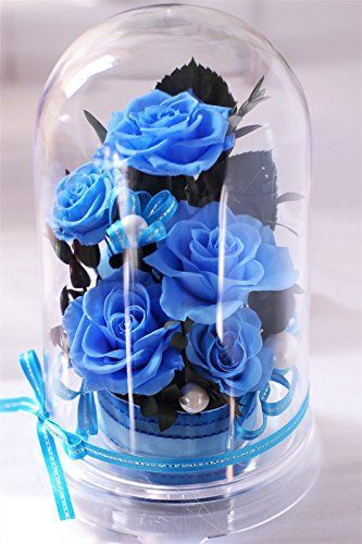 【特価商品】ブルーローズ 青 プリザーブドフラワー ドームアレンジ 奇跡の青い薔薇 誕生日 サムシングブルー