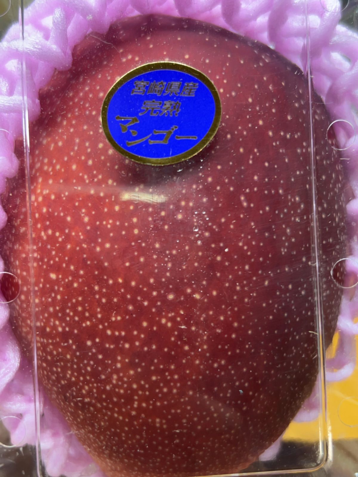 宮崎県産 完熟マンゴーA品 3L 2玉