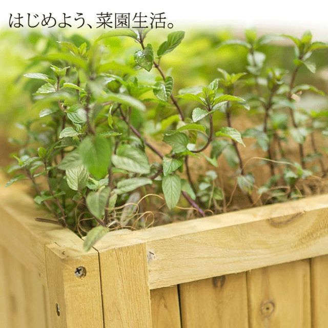 ガーデニング