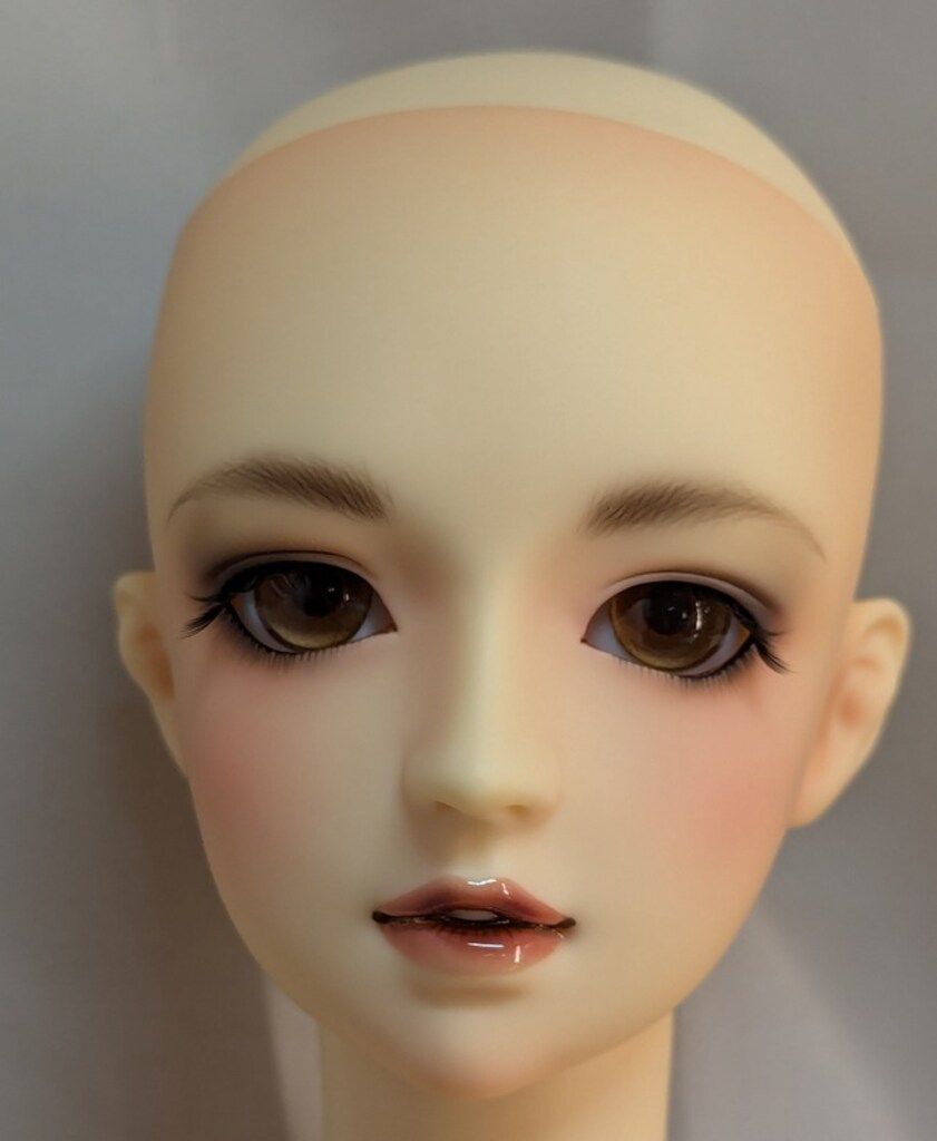ボークス