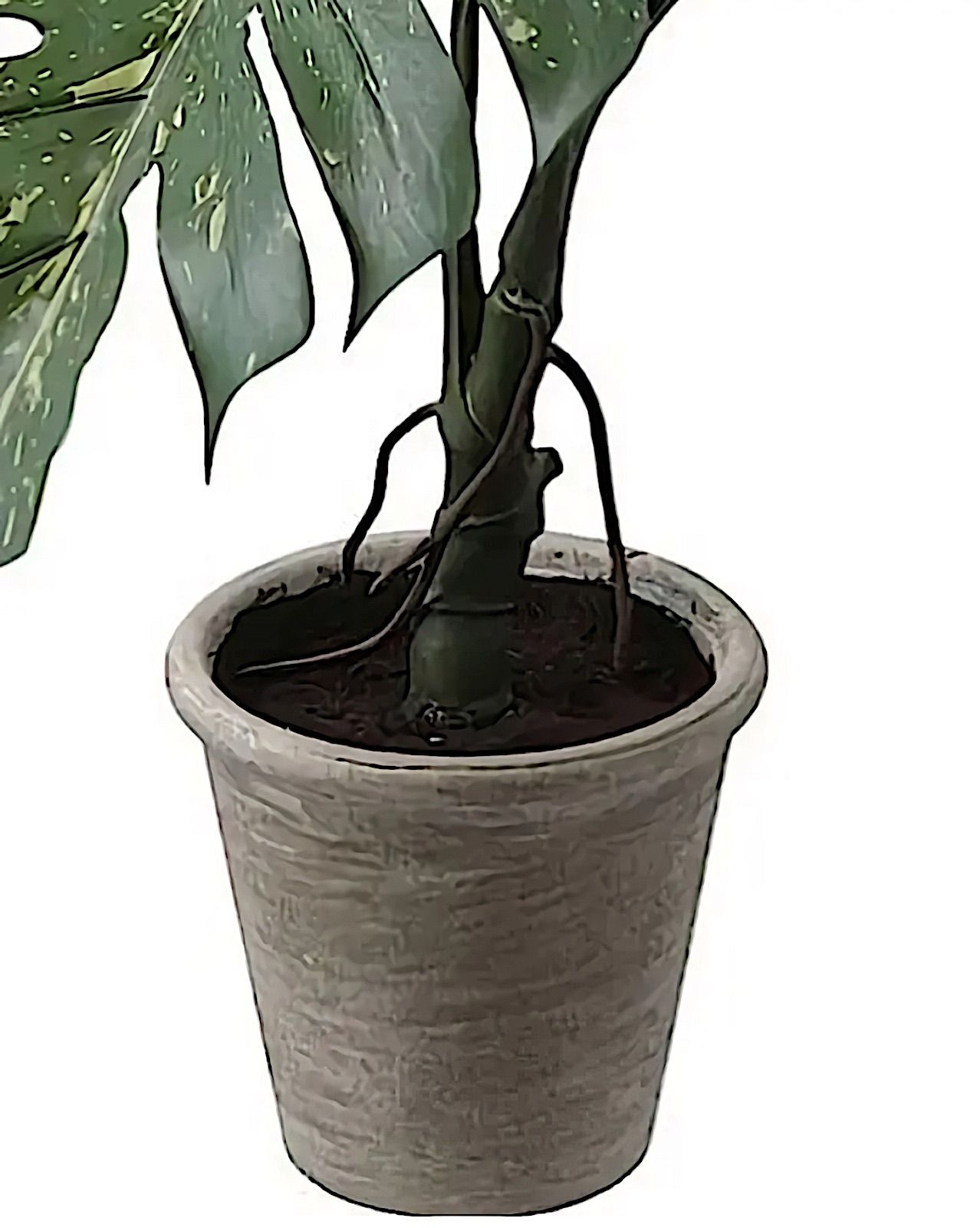 光触媒 人工観葉植物 ウォールグリーン フェイク フラワー 斑入り 