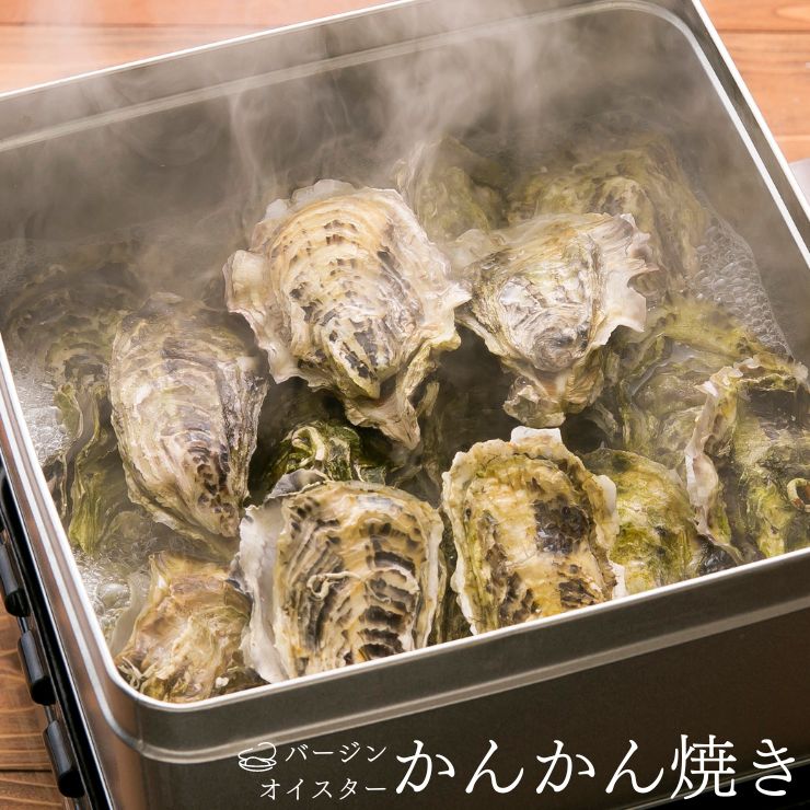 【極上】かんかん焼き バージンオイスター25個 三陸 宮城 女川産 生牡蠣 殻付き牡蠣 生食用 牡蠣 真牡蠣 カキ 牡蠣ナイフセット付（牡蠣ナイフ・片軍手・レシピ/殻剥き冊子）キャンプ飯 BBQ 蒸し焼き 酒蒸し ガンガン焼き お取り寄せ グルメ ギフト のし