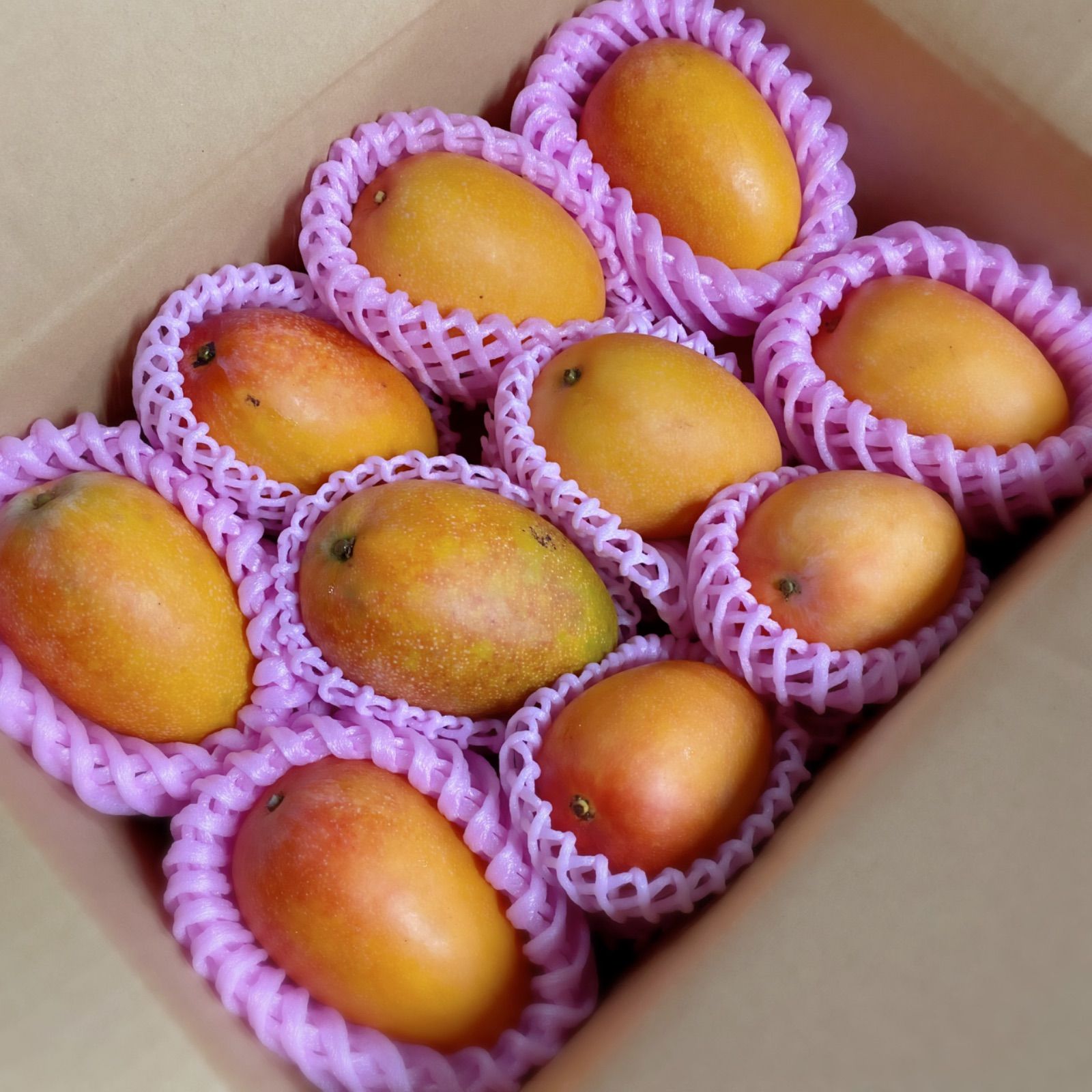 宮崎県産 完熟マンゴー 3kg ランク2 チルド